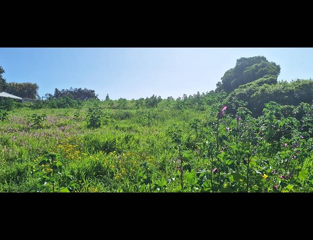 1,745M² VACANT LAND FOR SALE IN PARKERSDORP